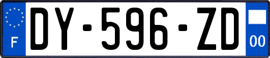 DY-596-ZD