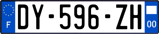 DY-596-ZH