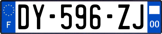 DY-596-ZJ