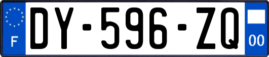 DY-596-ZQ
