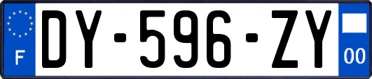 DY-596-ZY