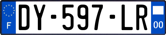 DY-597-LR