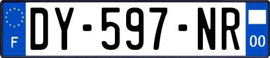 DY-597-NR