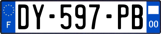 DY-597-PB