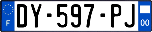 DY-597-PJ