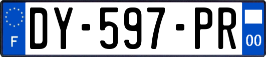 DY-597-PR