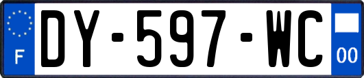 DY-597-WC