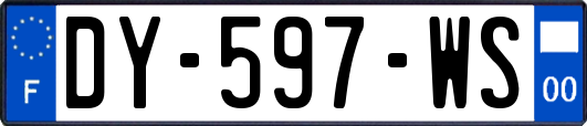 DY-597-WS