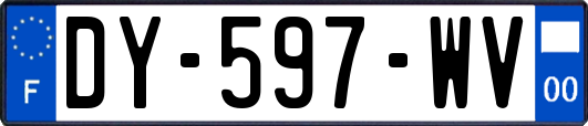 DY-597-WV