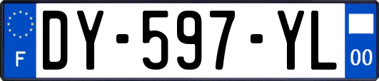 DY-597-YL