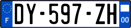 DY-597-ZH