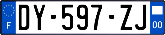 DY-597-ZJ