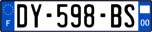 DY-598-BS