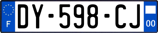 DY-598-CJ