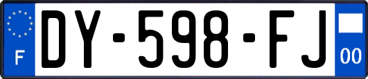 DY-598-FJ