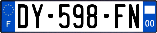 DY-598-FN