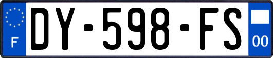 DY-598-FS