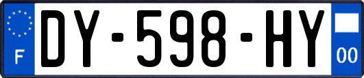 DY-598-HY