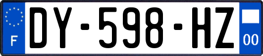 DY-598-HZ