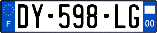 DY-598-LG