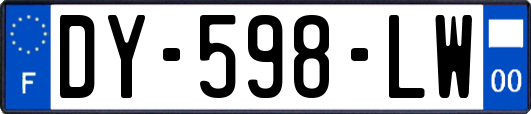 DY-598-LW