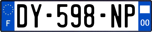 DY-598-NP