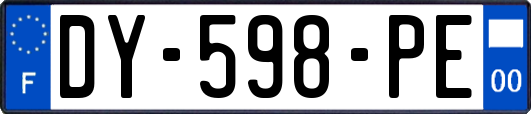 DY-598-PE