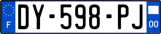 DY-598-PJ