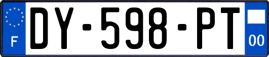 DY-598-PT