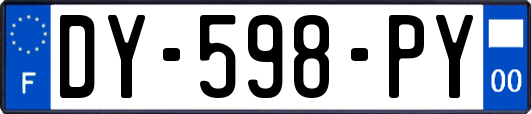 DY-598-PY