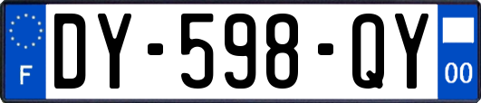 DY-598-QY