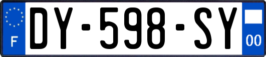 DY-598-SY