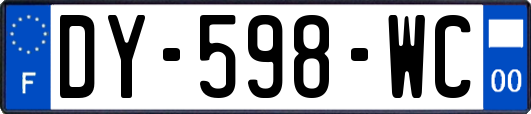 DY-598-WC