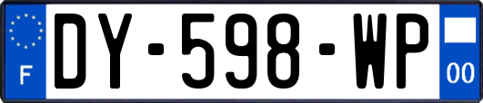 DY-598-WP