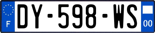 DY-598-WS