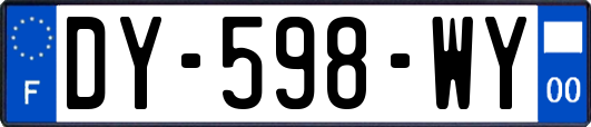 DY-598-WY