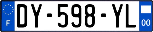 DY-598-YL