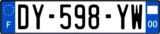 DY-598-YW