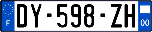 DY-598-ZH