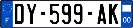 DY-599-AK