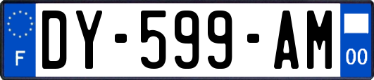 DY-599-AM
