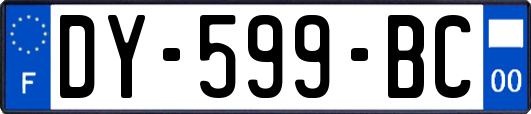DY-599-BC