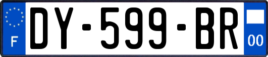 DY-599-BR