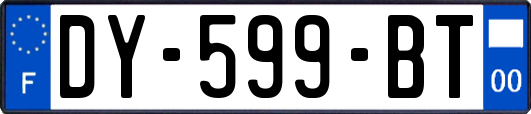 DY-599-BT