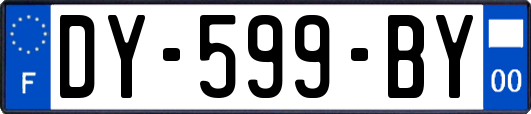 DY-599-BY