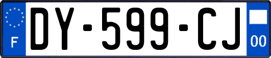 DY-599-CJ