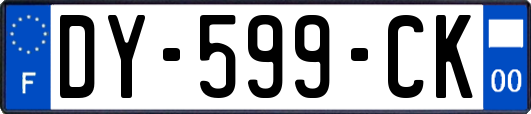 DY-599-CK