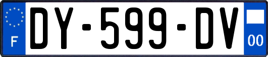 DY-599-DV