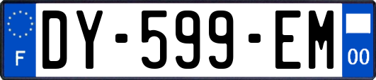 DY-599-EM