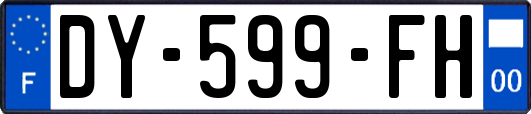 DY-599-FH